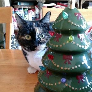 Meet your Posher, Dee